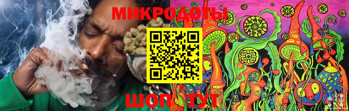 Псилоцибиновые грибы мицелий Реутов
